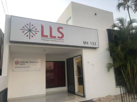 LLS - Language Learning Solutions photo