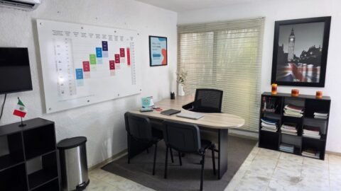 LLS - Language Learning Solutions photo