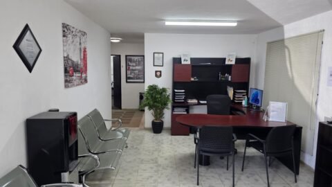 LLS - Language Learning Solutions photo