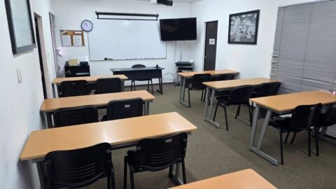 LLS - Language Learning Solutions photo